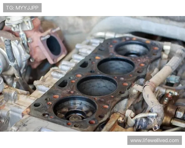 挖掘机拉缸原因深度分析